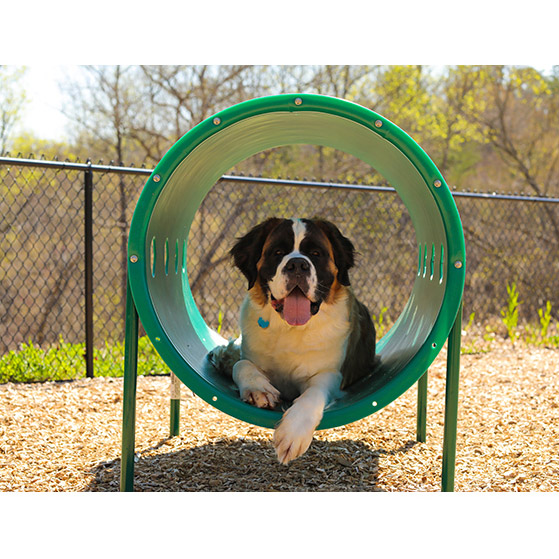 Click here for more UltraPlay Dog Park Equipment by Worthington