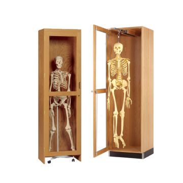 Skeleton Science Cabinet