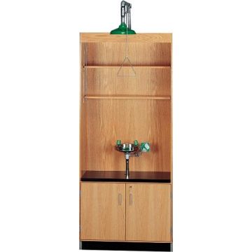 Shower Eye Wash Station