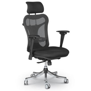 Ergo Ex Ergonomic Chair