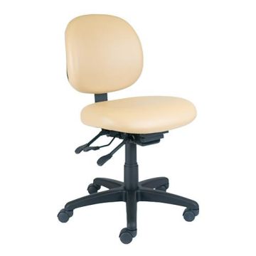 Vinyl Professional Lab Chair