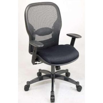 Professional Matrex Back Chair
