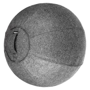 Stability Balls with Washable Cover