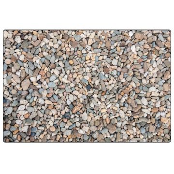 Pebbles Nature Inspired Rug (4' x 6' Rectangle)