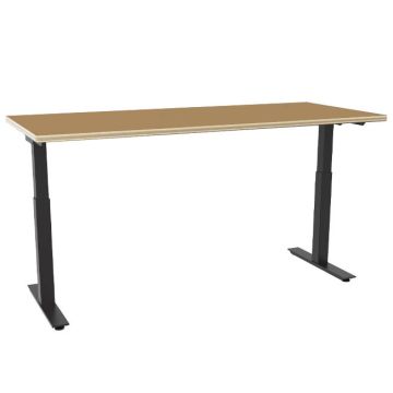 Hi-Lo Electric Adjustable Height Tables