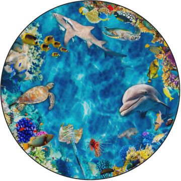Into the Sea Carpets by Flagship Carpets