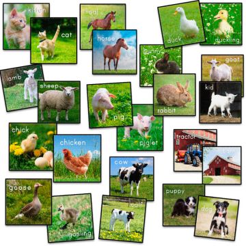 Set of 24 Barn Animals Carpet