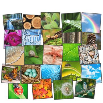 Nature's Beauty Seating Squares Carpet