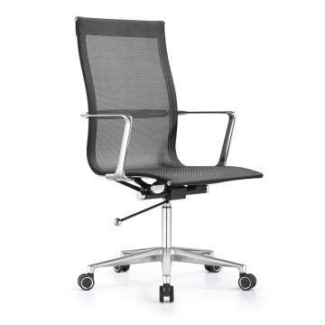 Joan Series Mesh Conference Chairs