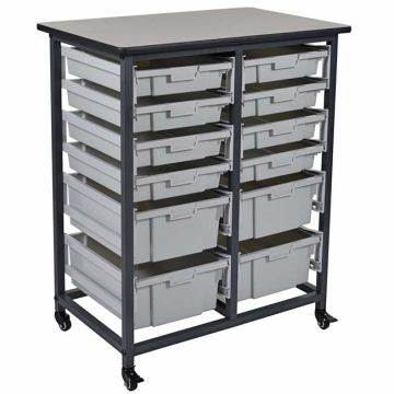 Mobile Bin Storage Units