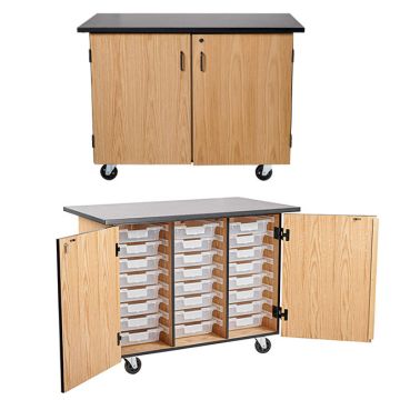 Bin Storage Mobile Science Cabinet with Chem-Res Top (48" x 28")