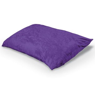 Pinto Indoor Pillow